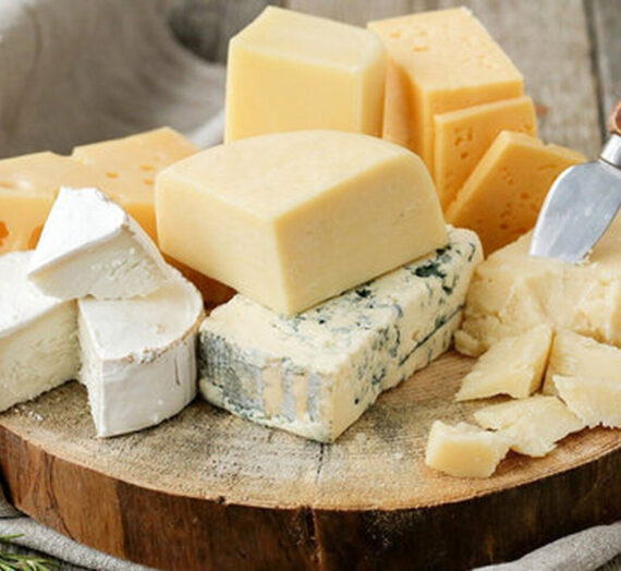 Los mejores tipos de queso para tu comida